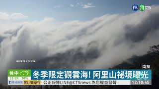 冬季限定阿里山隙頂雲瀑驚豔登場| 華視新聞20191220 