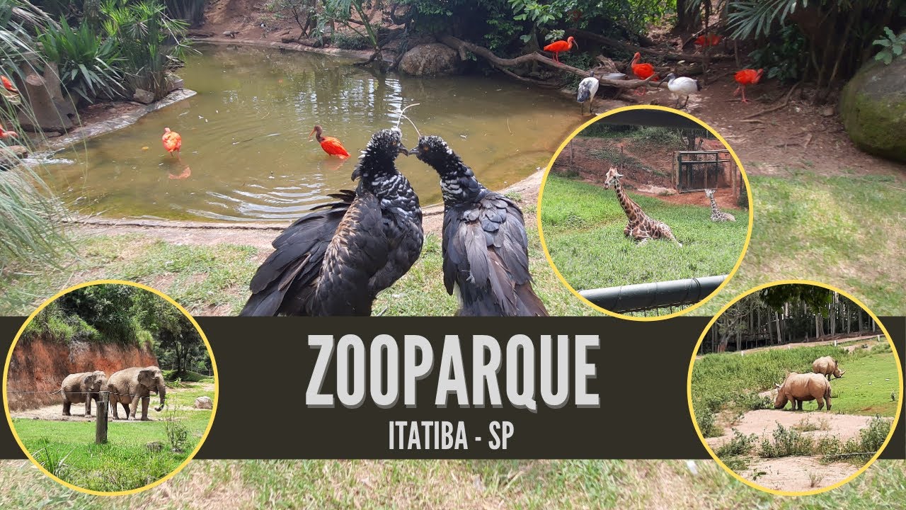 ZOOPARQUE | ITATIBA - SP - PARTE 1