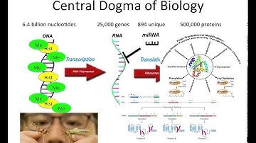 Understanding Bioinformatics_Part1_What is it and what do we analyze.