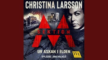 Chapter 10.6 & Chapter 11.1 - Sektion M - Ur askan i elden