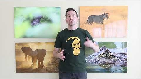 Utilizing Patterns & Repetition in Photography