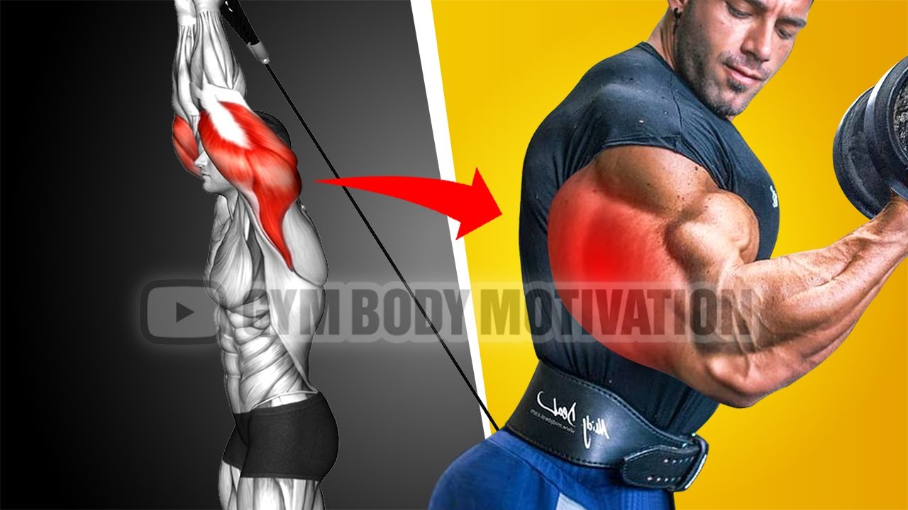 5 Perfect Triceps Exercises Get Huge Arms - YouTube