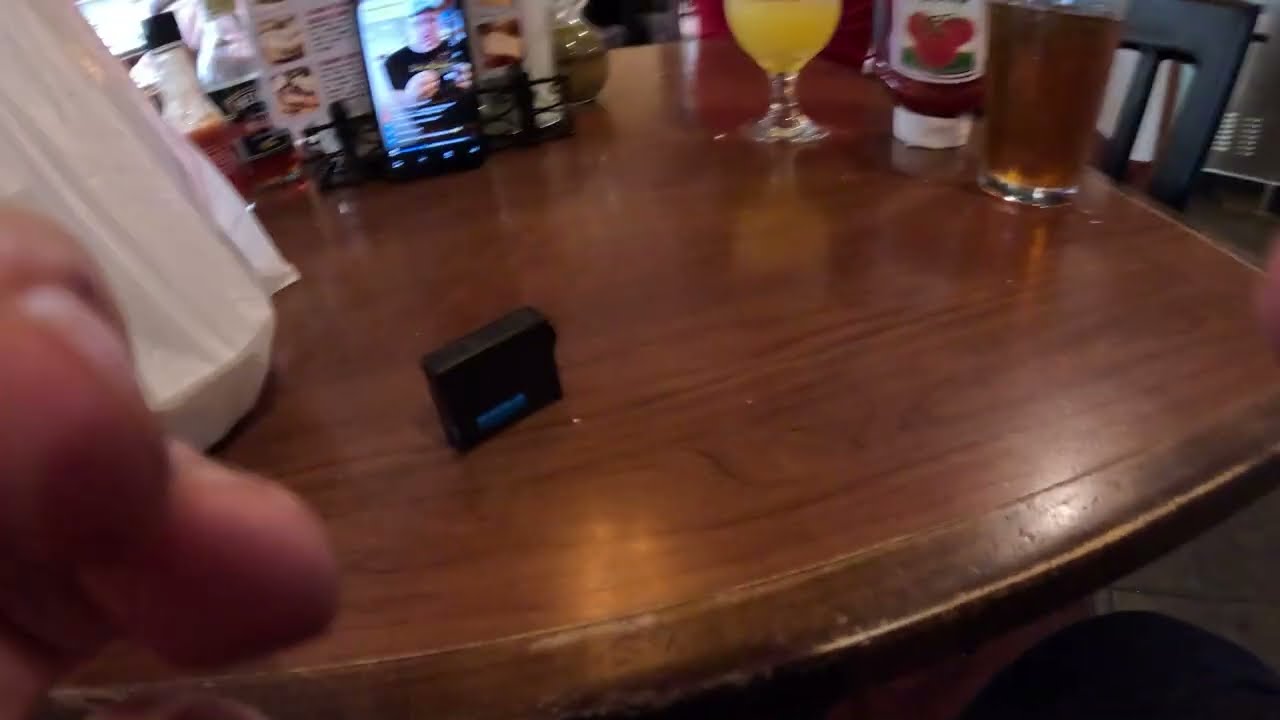 🌍 🚽 Earthquake?! Nope—Teddy’s Bathroom Workout After Pegasus Feast! 