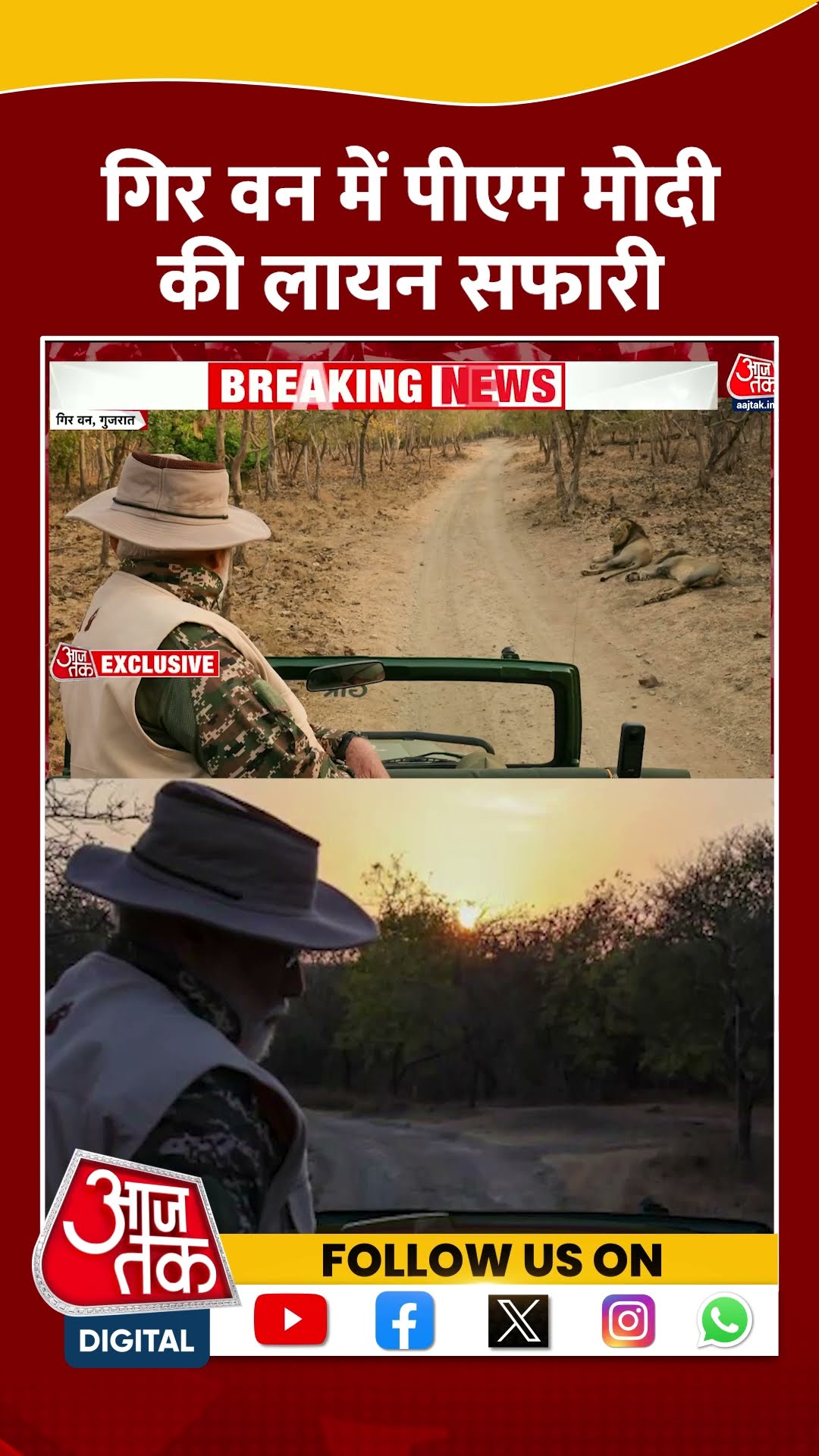 PM Modi Lion Safari: शेरों के बीच कैमरा थामे नजर आए Prime Minister | #shorts #shortsviral