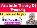 Aristotle Theory Of Tragedy in hindi||Aristotle Poetics||Aristotle Theory Of Tragedy MEG-05 in hindi