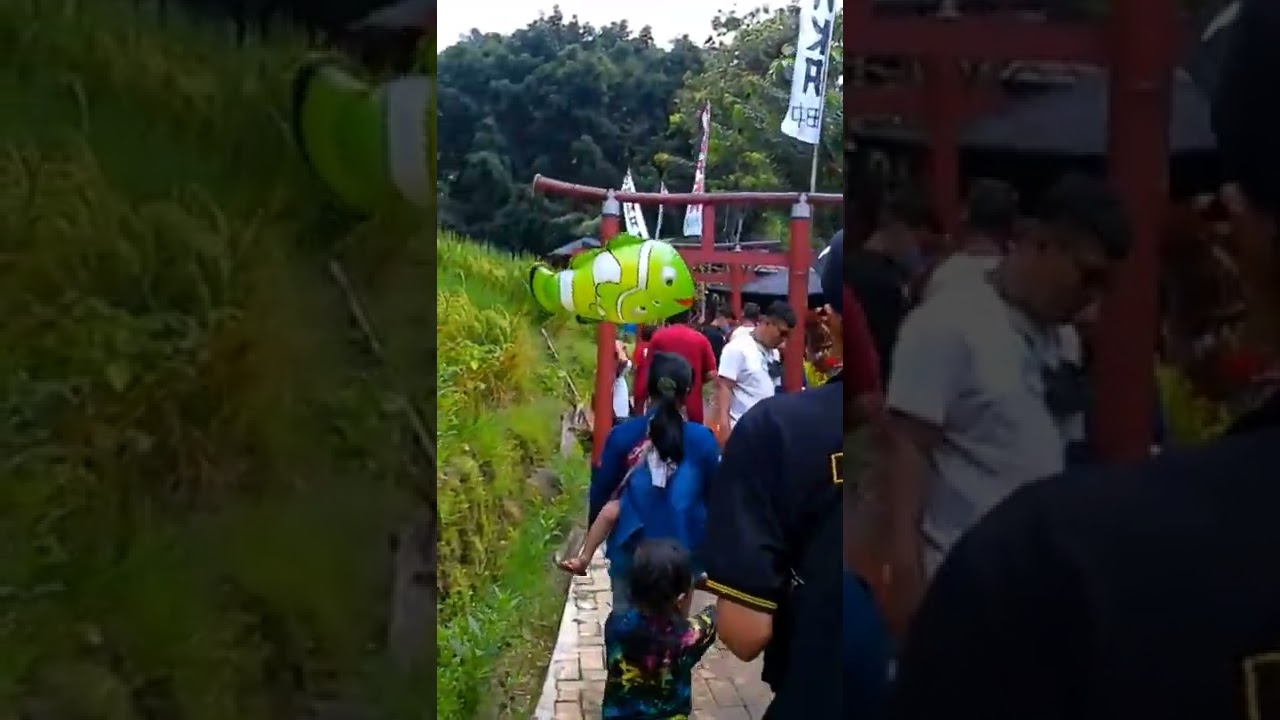 Wisata Alam Umbulan Tanaka Gunung Kawi Serasa Di Jepang Wisata Viral Di Malang 22 Youtube