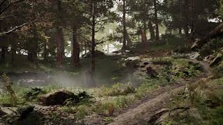 Forest Cinematic (Unreal Engine 4)