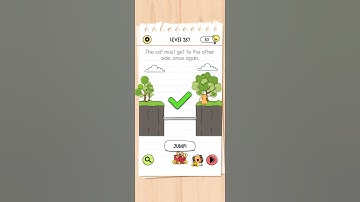 The cat must get to the other side, once again. brain test all star IQ level 287 solutions