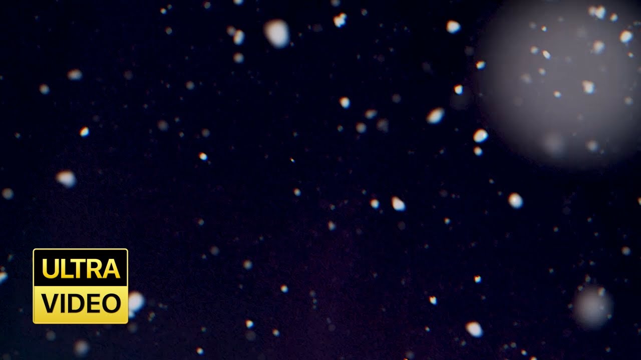 Snow Falling Video 4k 1 Hour I Ultra Video Background FREE - YouTube