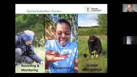Big City Butterflies butterfly identification and recording workshop | Butterfly Conservation