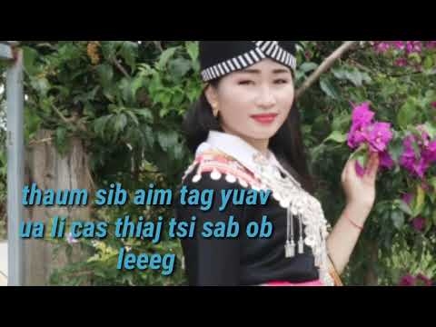 Video: Yuav Ua Li Cas Thiaj Pom Cov Sab