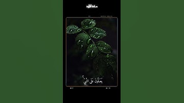 إِنَّ اللَّهَ وَمَلَائِكَتَهُ يُصَلُّونَ عَلَى النَّبِيِّ | سورة الأحزاب | المنشاوي. #جمعة_مباركة