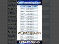 Cell Formatting in Excel #excel #shorts #msexcel