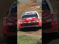 Cutting the Savannah: Sharp Turns at Full Tilt in SS7