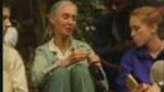 The History of the Jane Goodall Institute