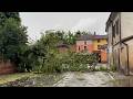 Maltempo nel Cremonese: grandine e alberi abbattuti