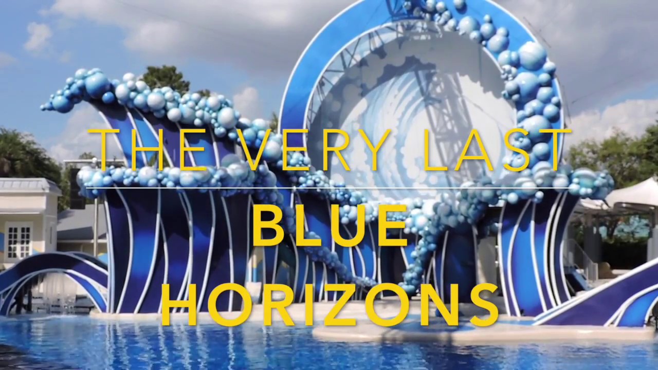 BLUE HORIZONS: FINAL PERFORMANCE