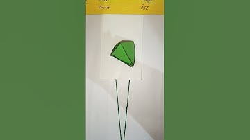 Tetrahedron Net // Maths Model // Euler Formula // TLM #kk #shortsfeed   #shorts
