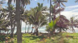 IMG 6558