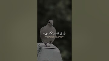 و ان ليس للانسان الا ما سعى | سورة النجم الآيات 39-41 الشيخ محمد صديق المنشاوي | translated quran