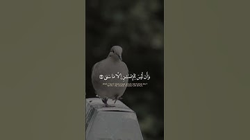 و ان ليس للانسان الا ما سعى | سورة النجم الآيات 39-41 الشيخ محمد صديق المنشاوي | translated quran