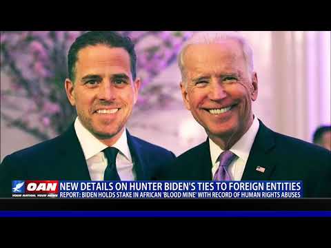 New details on Hunter Biden's ties to foreign entities report