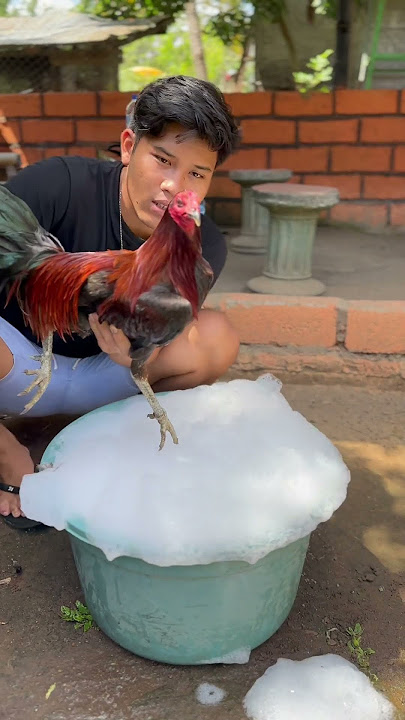 Rutinitas setiap minggu