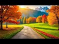 Relaxing Music Healing Stress, Anxiety and Depressive States, Heal Mind, Body and Soul Calming Music