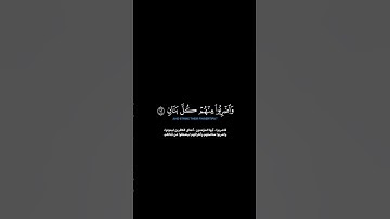 سورة الأنفال الآية 12-14 اللحيدان #glorious_quran #guidance #راحة_نفسية #الدوسري #اللحيدان