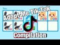 What's My Name, Adopt Me Tik Tok Copilation