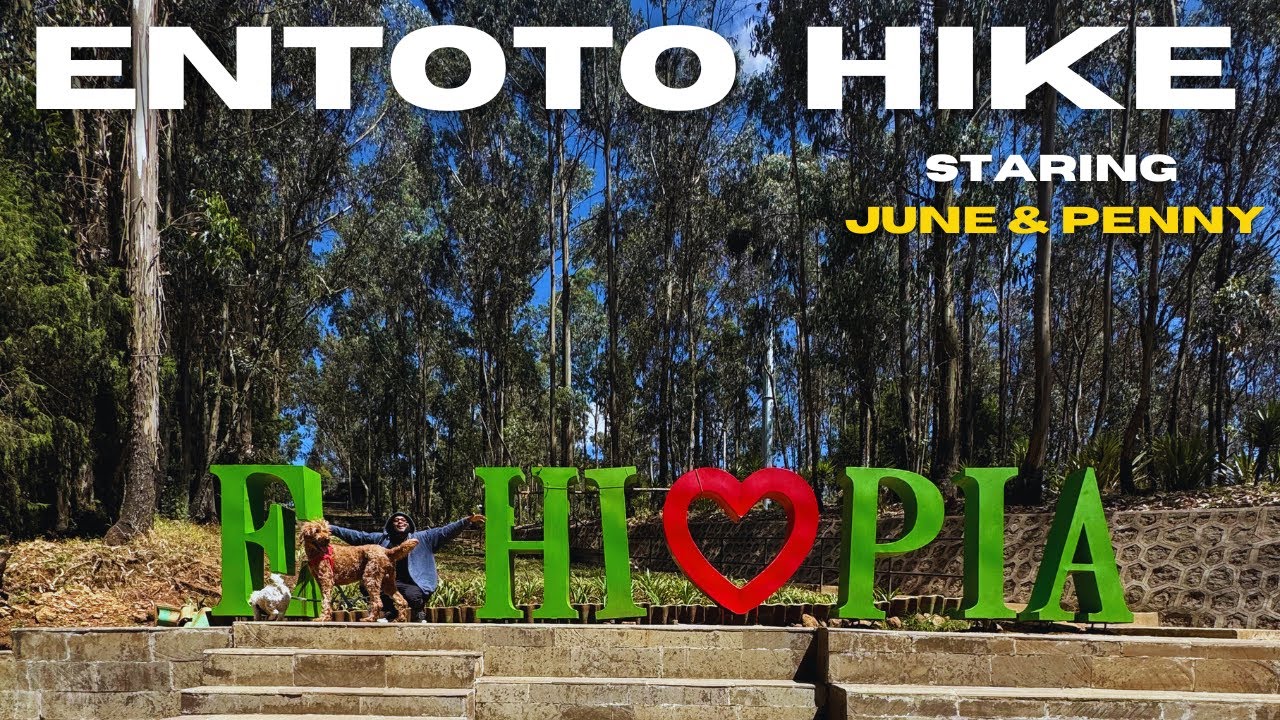 Ep 2: Sunday Funday – Entoto Natural Park Hike, Lunch at Jungle, Louvre Hotel & Addis City Views