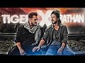 Tiger x pathan  salman khan x sahrukh khan  attitude status  pathan movie status  tumi656