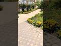 flower garden #shortvideo #machine #flowers #garden @Mozammilprintingpress89