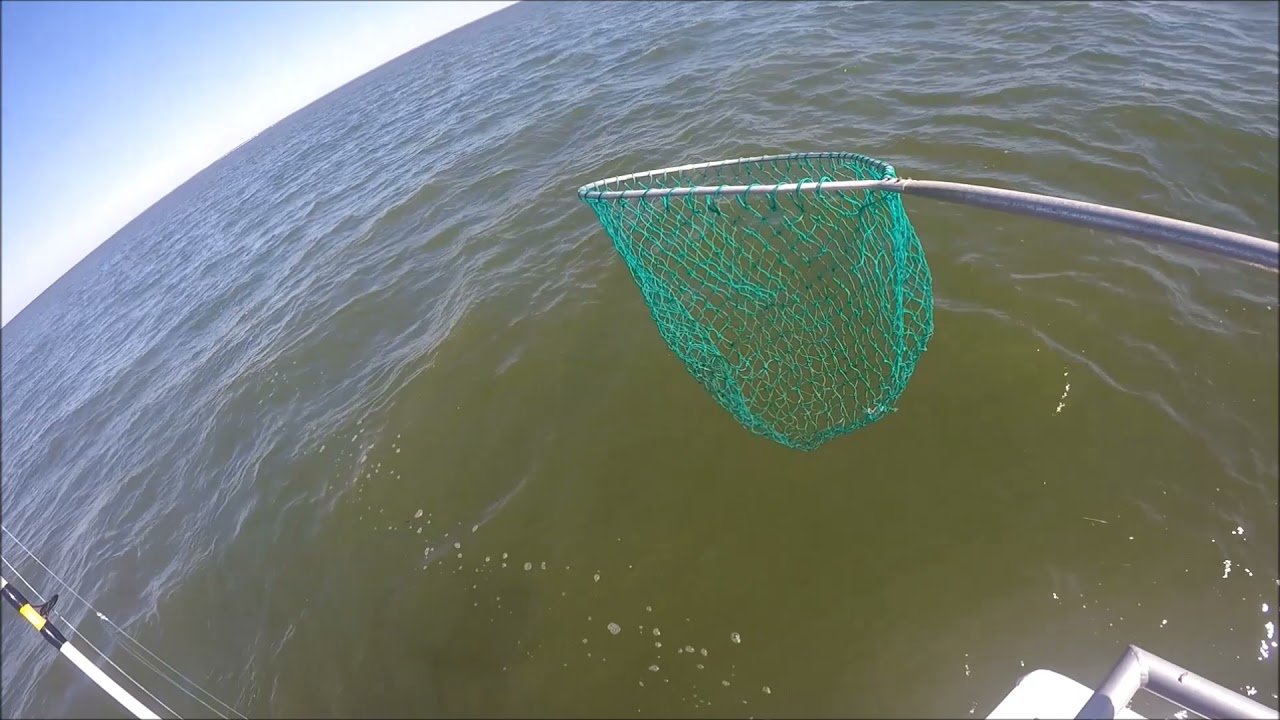 Miss Fortescue Fishing 9 25 2021 YouTube