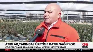 Ali Rıza Öner  CNN Türk Blueberry Röportajı #AliRızaÖner