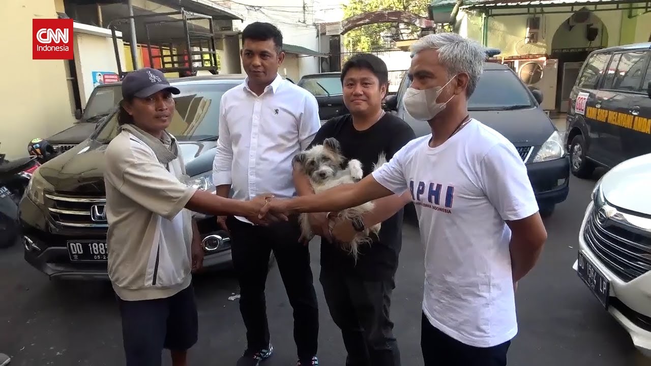 Polisi Ungkap Alasan Pelaku Penyeret Anjing Di Makassar