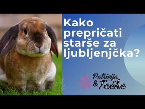 Video: Kako Prepričati Starše