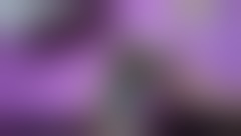 Bóc hộp rùa common x flo baby. Unboxing common x Flo turtle