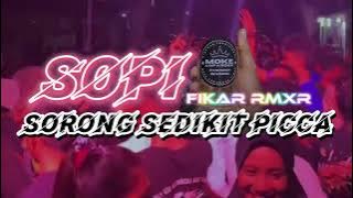 🌴🍻LAGU JOGET 2024 FIRAL  TIK TOK (SOPI🍻 SORONG SEDIKIT PICCA) FIKAR RMXR 🌴🌴
