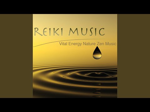 Meditation Music (Piano)