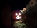 ジャコランタンで花火をやってみると・・