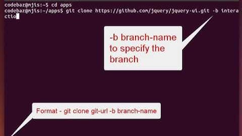 Cloning a specific branch of a Git