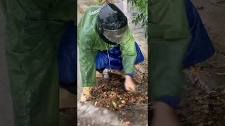 Solving Flooded Streets Culvert Solutions! Part12 #shorts #unclog #satisfying