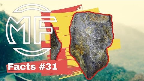 MUDFOSSIL FACTS #31 PICTURE IN STONE 