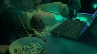 Asmr Türkçe. Ev Arkadaşımla Sinema Gecesi