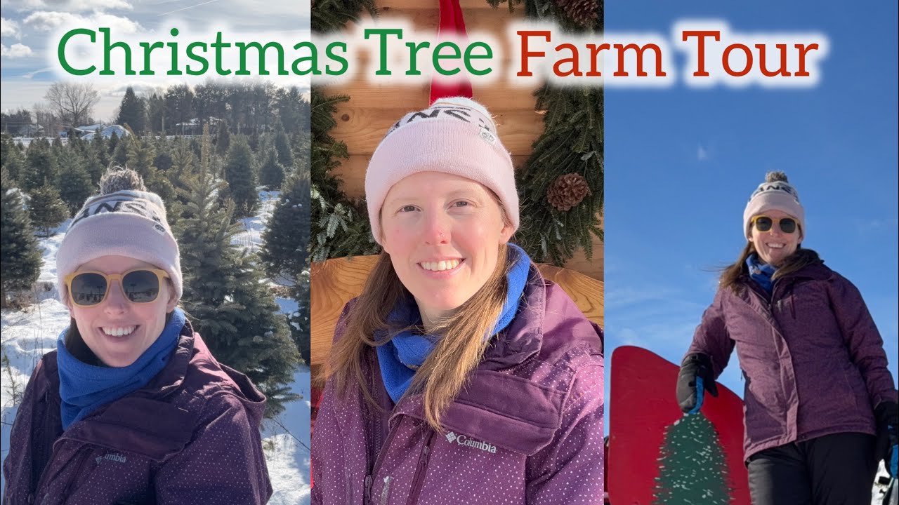 Christmas Tree Farm Tour 🎄🚜 - YouTube