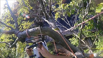 COMPLEX rigging of a beech tree!!! - Gopro 2017