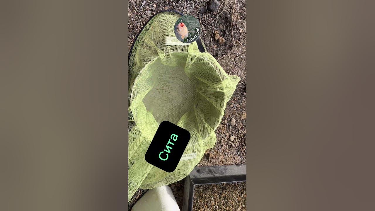 Тесто херабуна своими руками. Самодельное. Рыбалка на поплавок. - YouTube