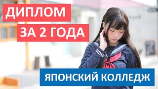 Японские колледжи. Диплом за 2 года. Зачем поступать, сколько учиться? Школа TLS