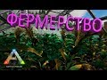 Фермерство в ARK Survival Evolved - инфо (морковь, картофель, кукуруза, лимон)